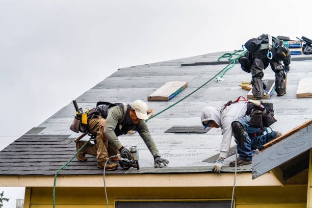 Professional Roofing technician working in Rosemont, CA